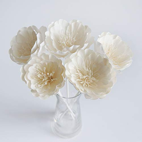 5 Bowl of Beauty Peony Flower 3 Sola Flower with Reed Diffuser for Home Fragrance.