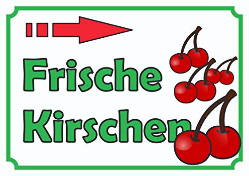 HB-Druck Verkaufsschild Schild Frische Kirschen Pfeil nach rechts A4 (210x297mm)