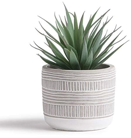 Kurrajong Farmhouse Artificial Plant in Pot - Small Faux Plant for Desk, Bathroom, Shelf & Coffee Table - Realistic 20cm high Indoor Plant for Home Decor