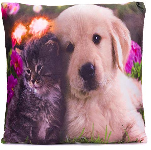Nexos Trading Deko-Kissen Sofakissen Zierkissen Bezug mit Füllung Kuschelkissen Dekoartikel Couchkissen (Cat & Dog)