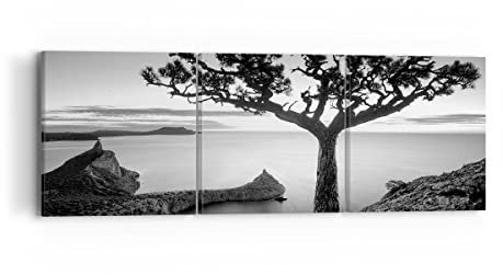 Moderne Impression sur Toile Arbre Noir Et Blanc Vue Image Tableau Decoration Murale 90x30cm Deco Cadre Décoration Salon Chambre Triptyque 3 parties Tableaux Decoratifs Muraux Art Wall CA90x30-4297