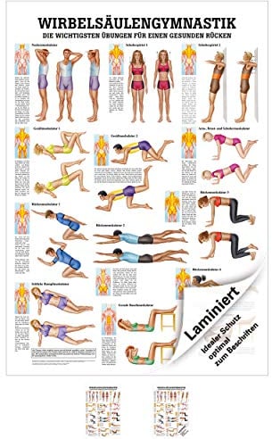Wirbelsäulengymnastik Mini-Poster Anatomie 34x24 cm medizinische Lehrmittel