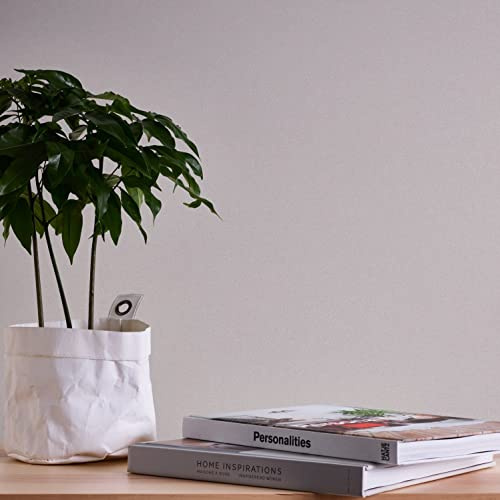 A.S. Création Terra 389255 Non-Woven Wallpaper Plain Grey 10.05 m x 0.53 m Made in Germany