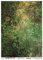 Josys Bastelmärchen Reispapier A4 Strohseide Decoupage Rost Muster Grunge grün RE0866
