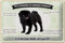 FEMER Blechschild Spruch 30x20cm Tiere Mops willkommen Zuhause