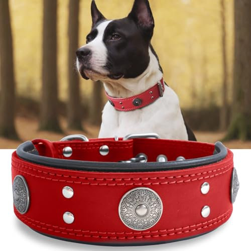 Hundehalsband Leder, 5 cm Breites Robustes Echtes Lederhalsband, Handgefertigt, Weich und Luxuriös, Auffällige Beste Wahl für Große und Mittelgroße Hunderassen, rot 42-52 cm