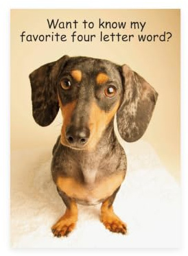 UK Greetings Funny Birthday Card - Birthday Card for Him - Funny Dog - Birthday Card for Her - Birthday Card Friend - Humorous Card - Funny Birthday Card Friend Adult 788327-0-1