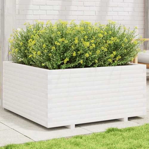 Somanki Pflanzkübel Weiß 100x100x49,5 cm Massivholz Kiefer, Blumentopf Gross, Blumenkasten Balkon, übertopf, Pflanzkasten, Flowerpot, Kräuterbeet Für Die Küche, Vertikalbeet - 3282540