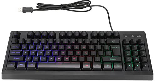 FLEXMAN Wired Gaming Keyboard, 89 Keys Colorful Backlight Floating Keycap USB Wired Universal Mechanical Keyboard for PC, Laptop, Desktop Computer