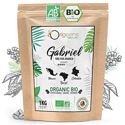 ORIGEENS CAFE GRAIN BIO 1kg | Café en Grain Arabica | Torréfaction Artisanale | Gabriel