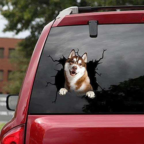 Ocean Gift Husky Auto Decals, Hund Auto Aufkleber 2 Stück - Realistische Husky Aufkleber für Autofenster, Wände Serie 77 Größe 25,4 cm x 25,4 cm