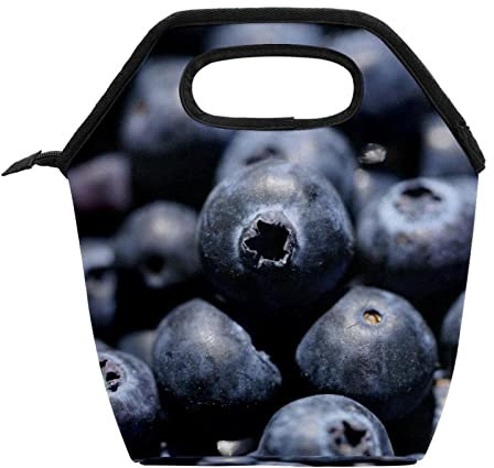 Blueberry-4333034 Mahlzeiten-Tasche für Frauen, isolierter Reißverschluss, Lunch-Tasche, Outdoor, Handtasche, Pakete, wiederverwendbare Lunchbox, Tragetasche für Teenager Mädchen