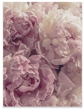 Poster Blumen Rosa Rosen Pfingstrosen 50x70 cm Hochformat - OHNE RAHMEN XXL Wandposter Kunstdruck Fotoposter Wandbild Wandbilder Wand Bild auf Poster Wohnzimmer Schlafzimmer Küche