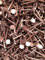 Copper Clout Nails 38mm x 3.35mm Roofing Nails Tree Stump Copper Nails 20 Nails