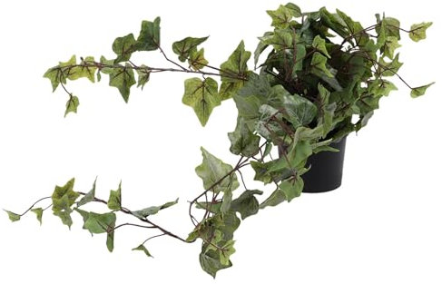 Decor Space Hängevase mit Pflanze für Raumdekoration