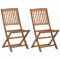 Iiaky Klappbare Gartenstühle 2 STK. Massivholz Akazie Balkon Sessel Balkon MöBel Set Outdoor BalkonstüHle GartenstüHle Gartenstuhl Set Lounge-Sessel 313603