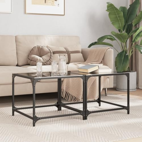HFXHIJXQ Lot de 2 tables basses - Noir - 50 x 50 x 40 cm - Structure en acier et plateau en verre - Design moderne - Robuste et facile d'entretien - Pour salon, canapé et salon