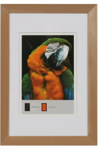 Timeless Kunststoff Bilderrahmen 10x15 bis 40x50 mit Passepartout Foto Rahmen: Farbe: Beige | Format: 13x18