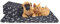 Nobleza - 6 x Hundedecke Weiche Fleecedecke Waschbare Deck für Haustier Hunde Katzen Welpen Weiche Warme Matte, Schwarz, 75 * 75cm