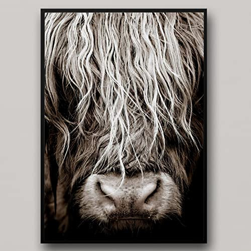 IUNTWEIE Schottisches hochlandrind Leinwand bilder Druck, Nordic Hochland kuh Poster Wandbilder, Modern Hochlandrind Dekoration für Wohnzimmer Wohnkultur Dekor Kein Rahmen (Hochlandrind-2, 30x40)