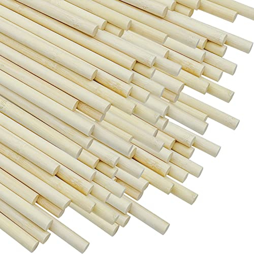 ZHONYEE Lot de 100 tiges en bambou naturel brut pour travaux manuels (10 mm x 40 cm)
