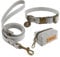 Wisedog Hundehalsband und Leine Set Combo: Einstellbare langlebige Haustier Halsbänder mit Hundeleinen für kleine mittlere große Hunde, enthält einen Bonus von Poop Bag Holder (L, Grau)