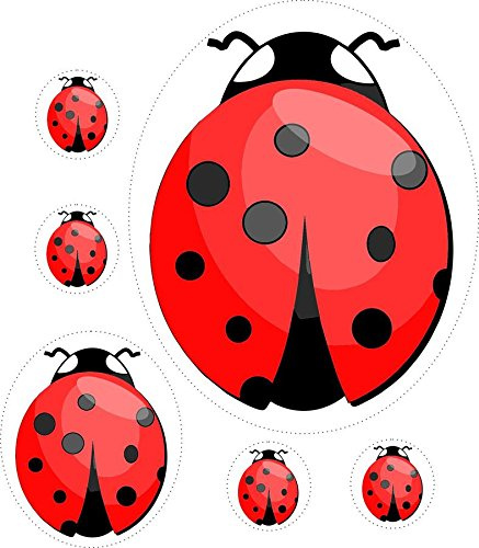Akachafactory Set 6 x selbstklebend Sticker Laptop Marienkäfer Kinder Deco Vinyl
