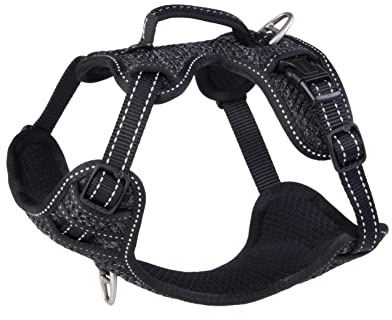 ROGZ SJX14.A Explore Geschirr, S, schwarz