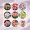 2 Pcs Amaryllis Zwiebel, Amaryllis Knollen, Blumenzwiebel, Balkonpflanzen Amaryllis Zwiebeln Kaufen - Hippeastrum Rutilum - Geschenke Für Gartenfreunde, Wildflower Summer Blumen Pflanzen