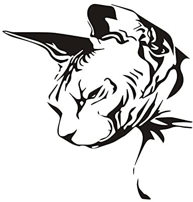 FAiruo Car Sticker Auto Sphynx Cat Fashion Car Motorcycles Decoration Reflective Waterproof Car Styling Custom Sticker (Color : A, Size : 22CM)