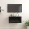 ZEYUAN TV-Hängeschrank, Wandschrank Wohnzimmer, Aufsatzschrank, Schwarz 60x30x30 cm