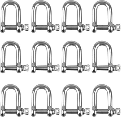 Grillo a forma di D, grillo con anello a D in acciaio inossidabile 304, grillo con anello a D M4, grillo a D, grillo con anello a D in acciaio inossidabile, grillo con anello a D dritto, 12 pezzi