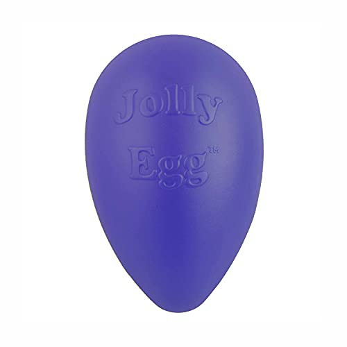 Jolly Pets Football Hundespielzeug, lila