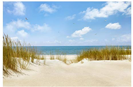 Bilderwelten Vlies Fototapete Strand an der Nordsee Tapete Selbstklebend 190x288cm
