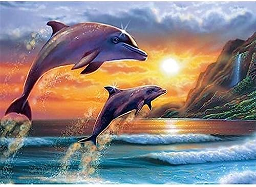 Bimkole DIY 5D Diamond Painting Zubehör Delphin Sonnenschein, Seeklippe Diamant Malerei Kit Voll Runde Bohrer Malen nach Zahlen Malerei Stickerei Kreuzstich Diamond Dekoration, (40x50 cm)
