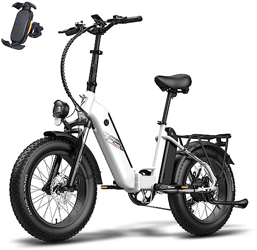 Fafrees FF20 Polar E Bike Herren Faltbar mit 48V 13,4Ah*2 Akkus bis 170KM [ Offiziell ] E-Bike Klapprad 20 Zoll, E-Bike Damen Mountainbike, Faltbares Elektrofahrrad Fatbike Erwachsene StVZO.