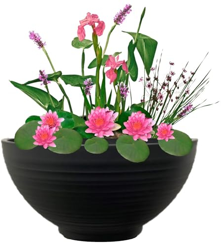 vdvelde.com - Mini Teichschale mit Pflanzen Set - Rosa - - Komplettset- 15 Pflanzen- Kunststoffschale Ø 40 x H 20 cm