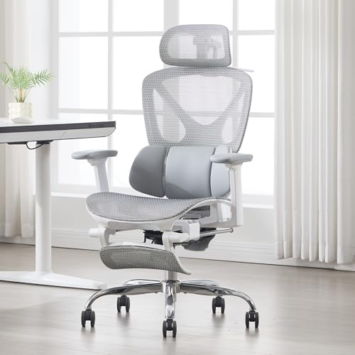 DAYALANE Chaise de Bureau Ergonomique, 3D Accoudoir&Repose-Pieds, Gris | Fauteuil de Bureau Ergonomique Pivotant et Réglable en Hauteur, Siege Gaming avec Support Lombaire&Appui-Tête