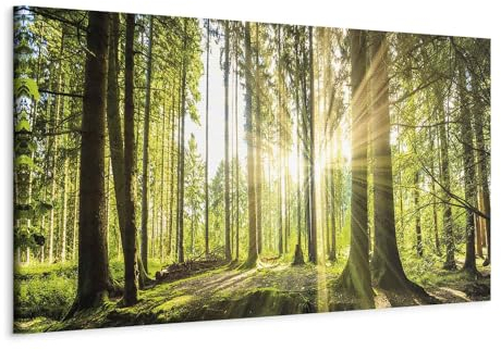 B&D XXL - Wandbilder XXL Wald 90x30 cm 1 tlg Wand Deko Leinwand Bilder Groß Wandbild Wohnzimmer Bild Schlafzimmer Kunstdruck Panoramabild - Waldlandschaft Natur Bäume Sonnenaufgang c-B-0077-b-b