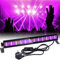 Litake Schwarzlicht UV Bar, 36W 12 LED Schwarzlichtlampe 390-400nm UVA-Klasse Wellenlängen LED UV Licht mit 1.5M Netzkabel für Halloween,Körperbemalung,Bühnen und Party Deko