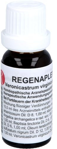 Regenaplex Nr.62 b Tropfen, 15 ml Lösung