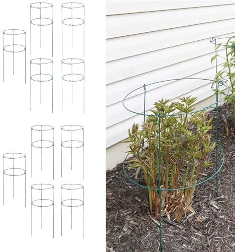 36 x 18 Peony Double Ring Plant Support, Pack of 10 Plant Support Stakes for Tomatoes Peony Lily Rose Plant Support Rings Peony Cages for Outdoor Plants Flowers Vegetables