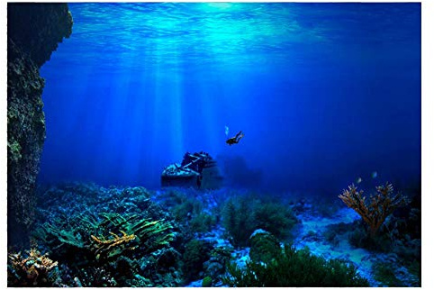 Rosvola 【𝐄𝐚𝐬𝐭𝐞𝐫 𝐏𝐫𝐨𝐦𝐨𝐭𝐢𝐨𝐧 𝐌𝐨𝐧𝐭𝐡】 Aquarium Fish Tank Background 3D Effect Pictures, PVC Adhesive Aquarium Underwater Seaworld Backdrop Decorations Poster(61 * 30cm)