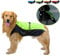 Ranphy Hunderegenmantel Wasserdicht für Mittlere und Große Hunde Reflektierend Regenhülle Atmungsaktive mit Bauchschutz Dackel Labrador Hundejacke Ultraleichte Sicheren Hundebekleidung Grün 3XL