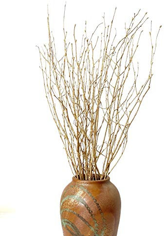 DongArts Dekorative Birkenzweige, reiche Stiele für Hochzeitsdekoration, getrocknete Zweige für Weihnachtsdekoration (metallisches Gold)