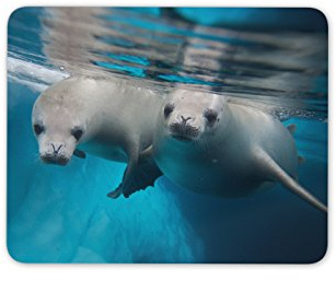 Destination Vinyl Ltd Cheeky Seal Pups Mouse Mat Pad - Scuba Diving Sea Seals PC Computer #8251