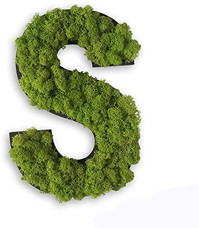 styleGREEN Piktogramm: Buchstabe S Islandmoos