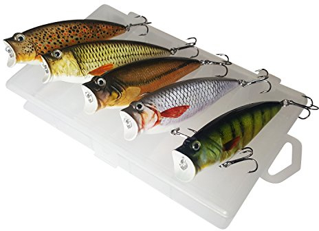 ELBFANG Popper WOBBLER Angel-Set | RAUBFISCH KÖDER Box | HECHT, BARSCH, Zander Angeln
