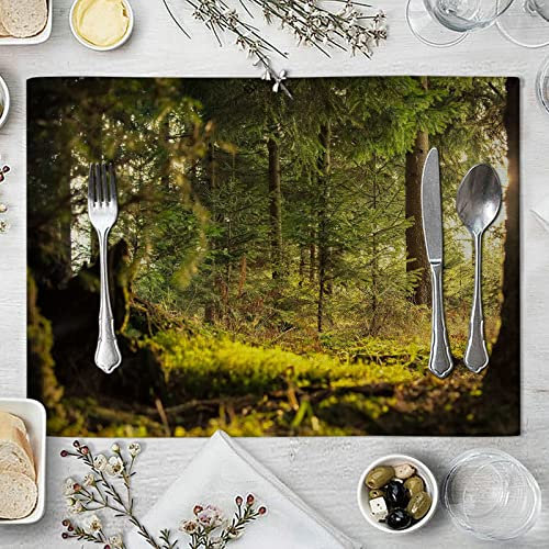 Daesar Platzdeckchen Abwaschbar 42x32, Tischset 4er Set Landschaft Motiv Sonnenschein im Wald Muster Platzset Baumwolle für Holztisch Esstisch Glastisch