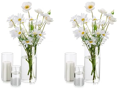 Deko Vase Glas Zylinder Tischdeko: Glasseam 2 Satz Blumen Vasen Set Modern Glasvase Rund Glaszylinder Blumenvase Tulpenvase Tischvase Fuer Hochzeit Wohnzimmer Tulpen Rose, 10/15/20cm Hoch